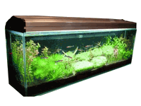 90cm�X��������